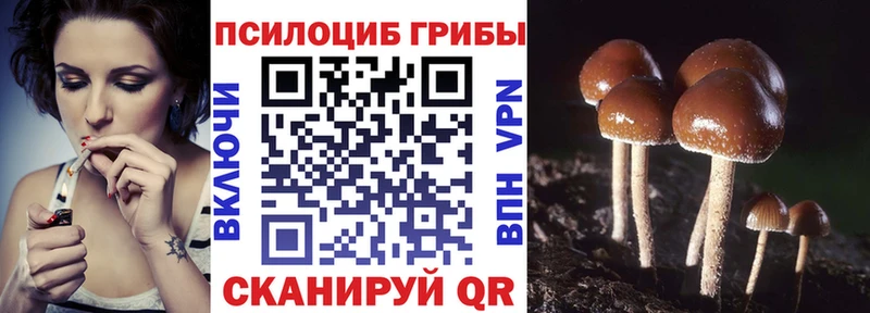 Галлюциногенные грибы прущие грибы  купить наркотик  Ахтубинск 